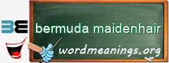 WordMeaning blackboard for bermuda maidenhair